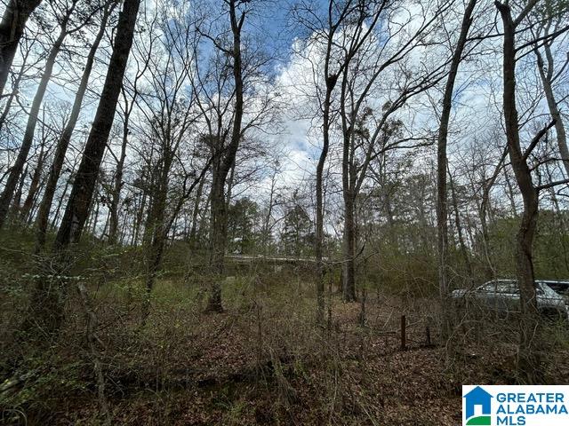 66 Shady Lane, Unit 7678 Ohatchee, AL 36271 - Photo 6 of 12