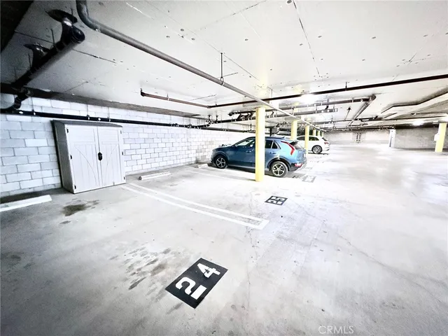 a view of a garden with plants