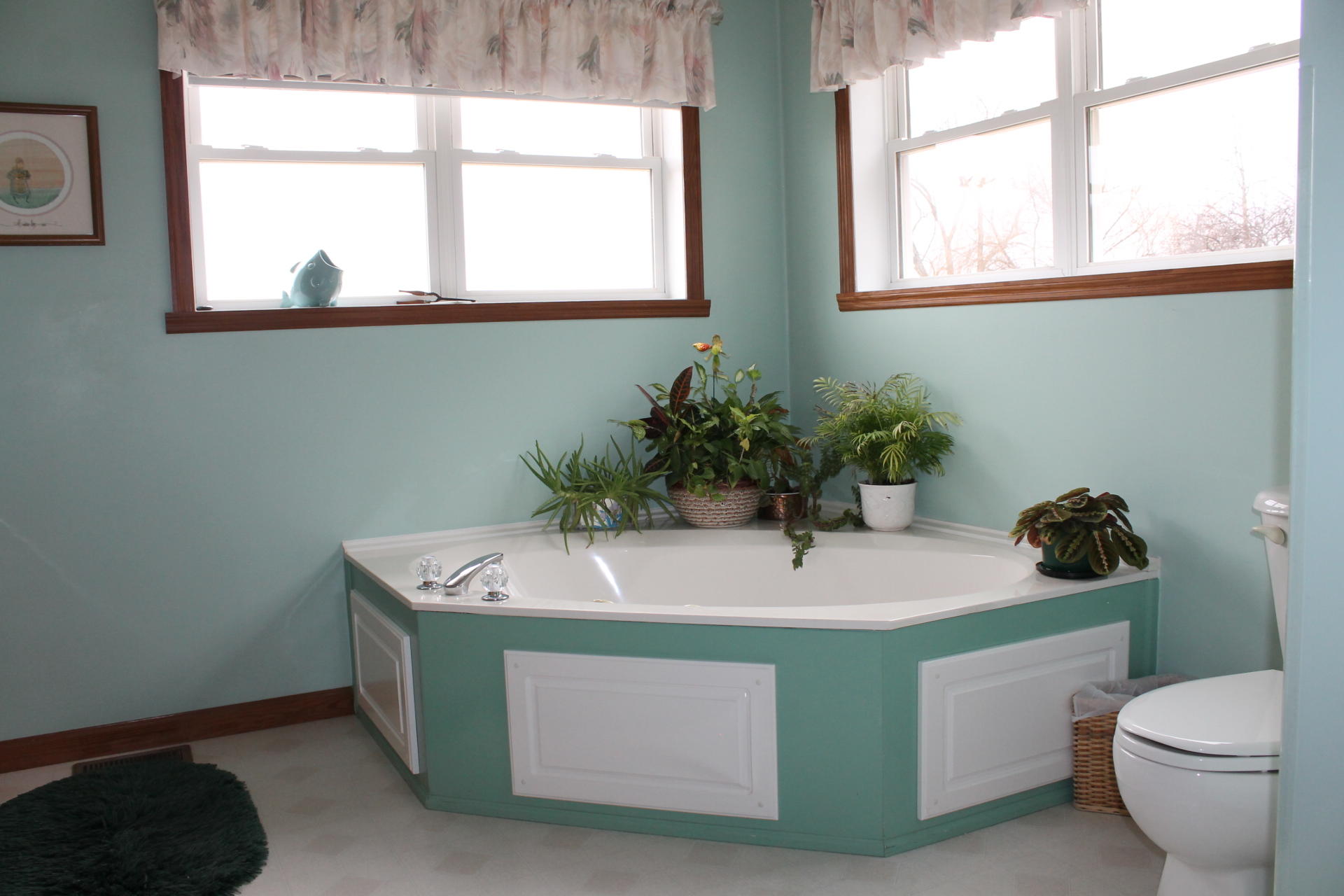 646 Alpine Road Buchanan, VA 24066 - Photo 12 of 26 Whirlpool tub
