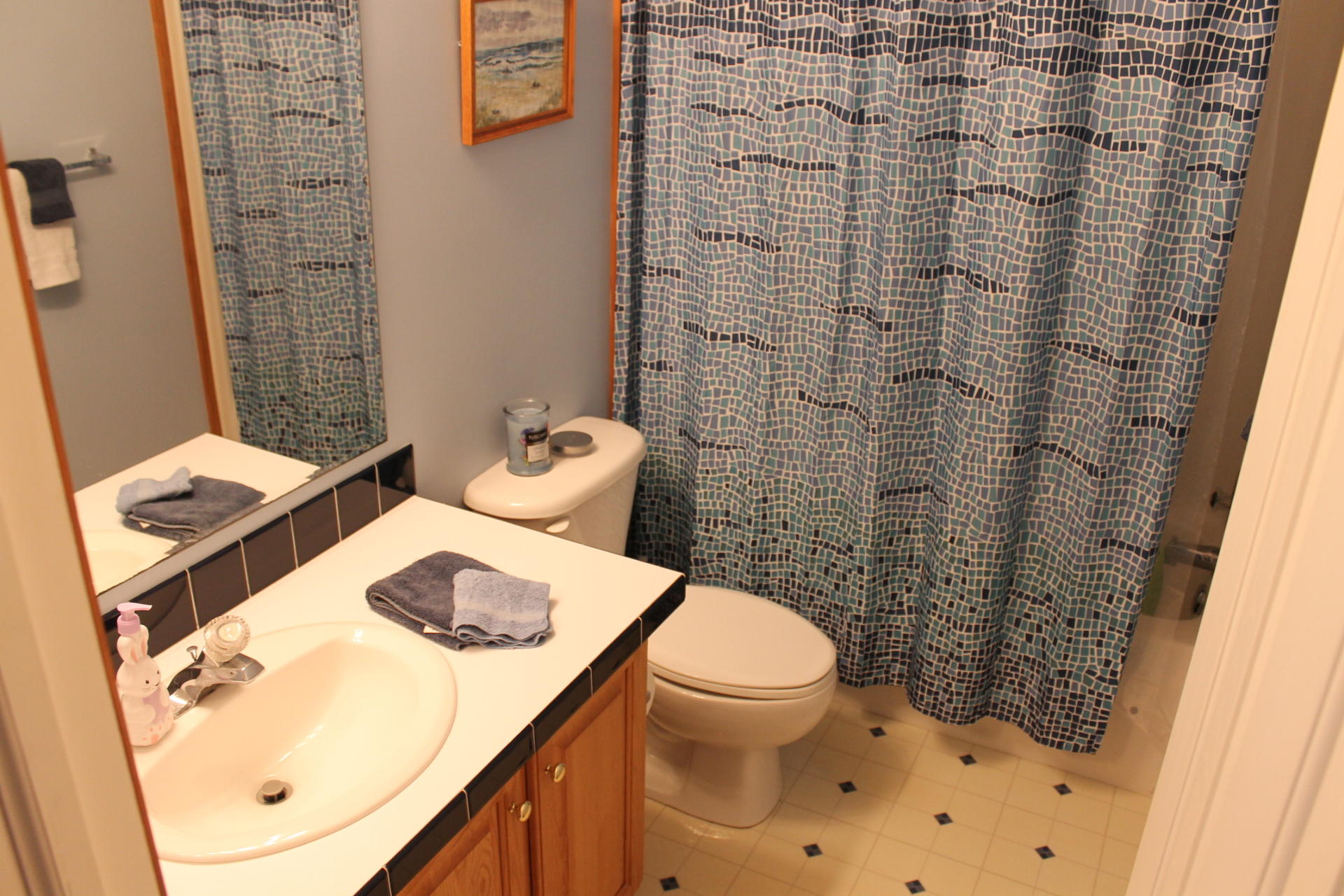 646 Alpine Road Buchanan, VA 24066 - Photo 14 of 26 Bath 2
