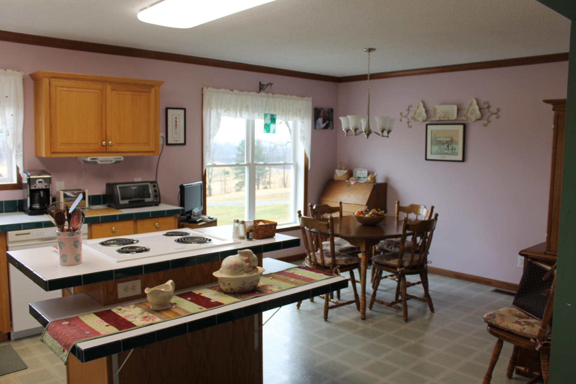 646 Alpine Road Buchanan, VA 24066 - Photo 6 of 26 KitDining