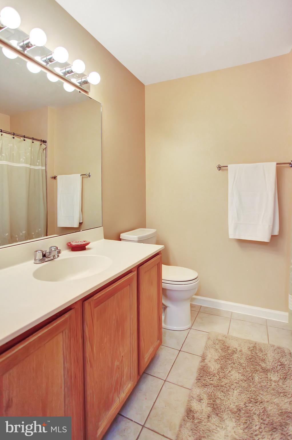 6496 Topsails Lane Springfield, VA 22150 - Photo 19 of 21 Secondary Bathroom With Large Soaking Tub/Shower