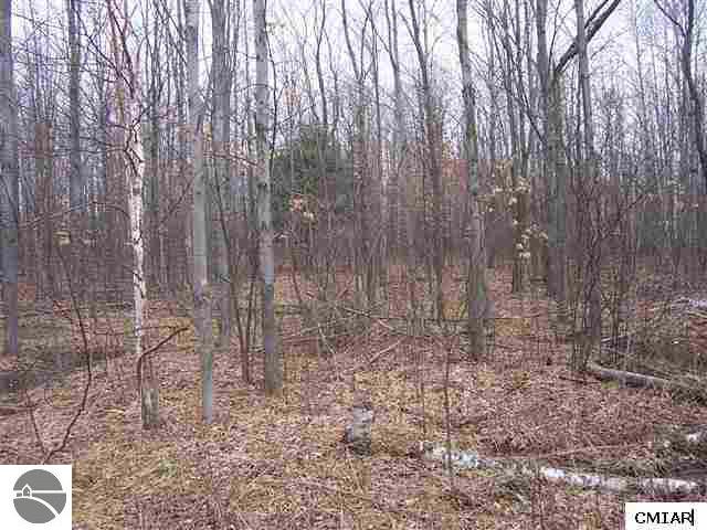 1400 South Coleman Road Shepherd, MI 48883 - Photo 9 of 9 1764716-8.JPG