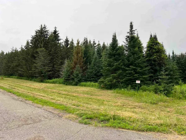 $49,900 | Lot 3 Sue Alan Drive, Wittenberg, WI 54499