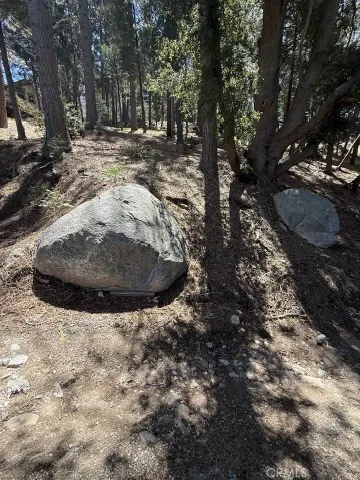a view of outdoor space with trees