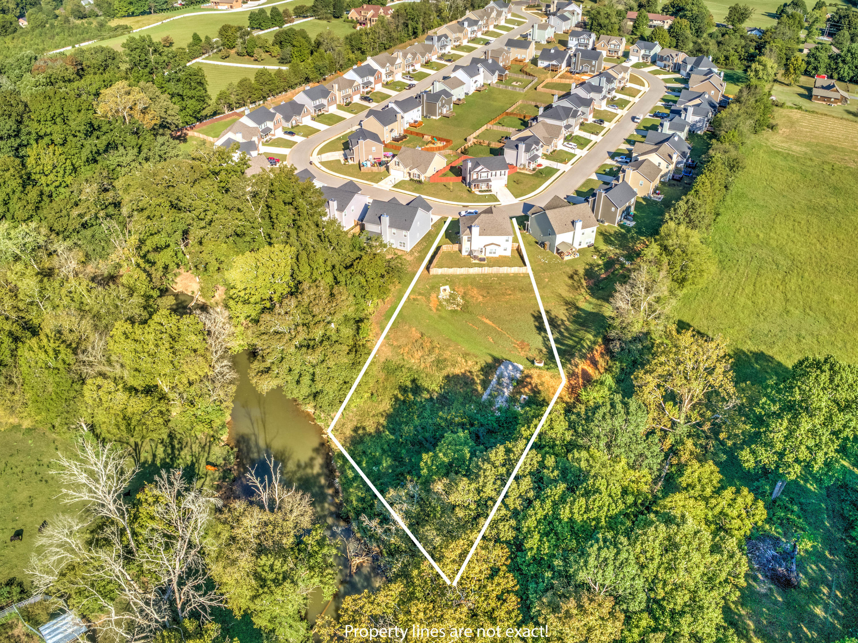 7369 Ladd Road Powell, TN 37849 - Photo 36 of 38 Large lot borders creek