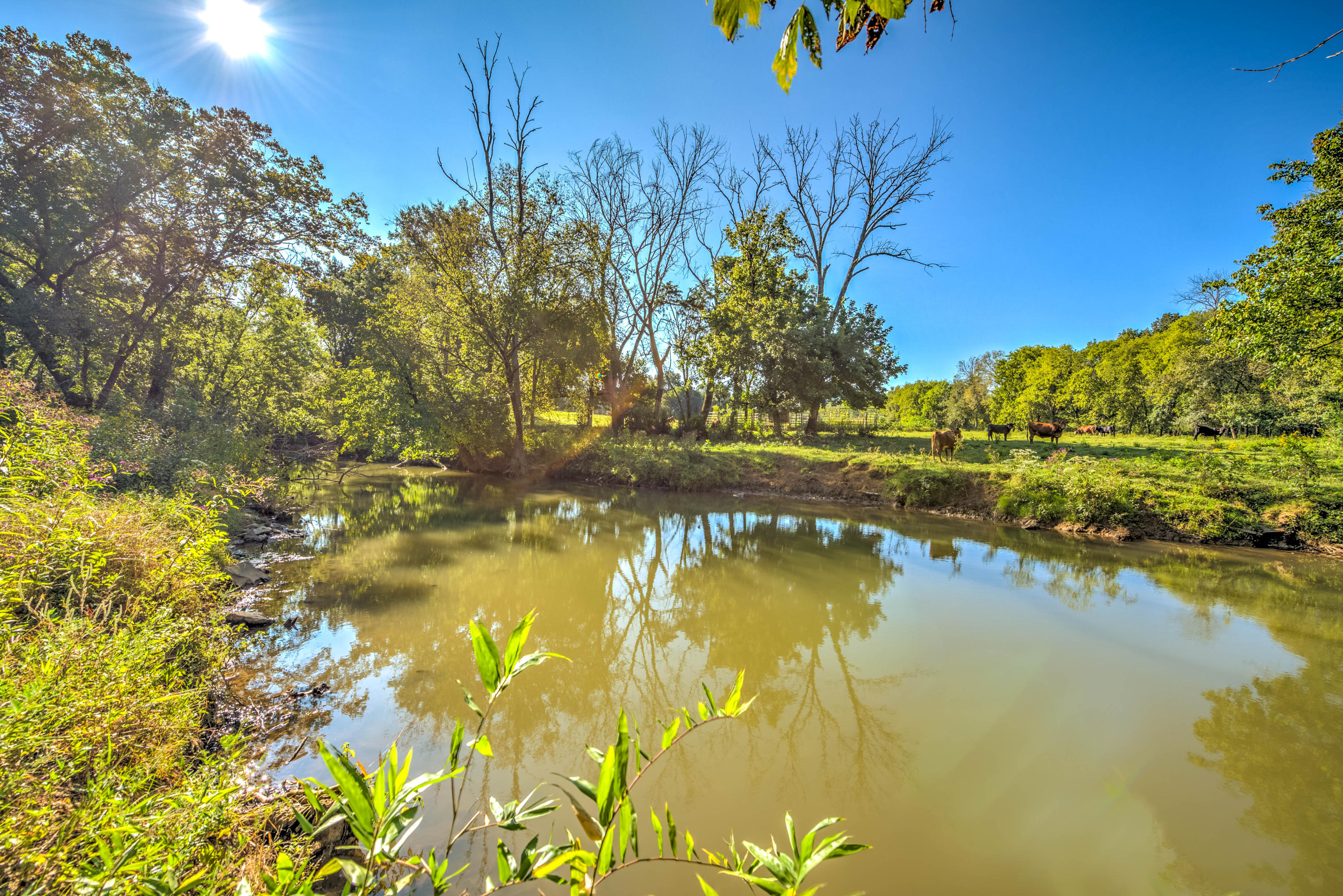 7369 Ladd Road Powell, TN 37849 - Photo 38 of 38 Beaver Creek at back of property