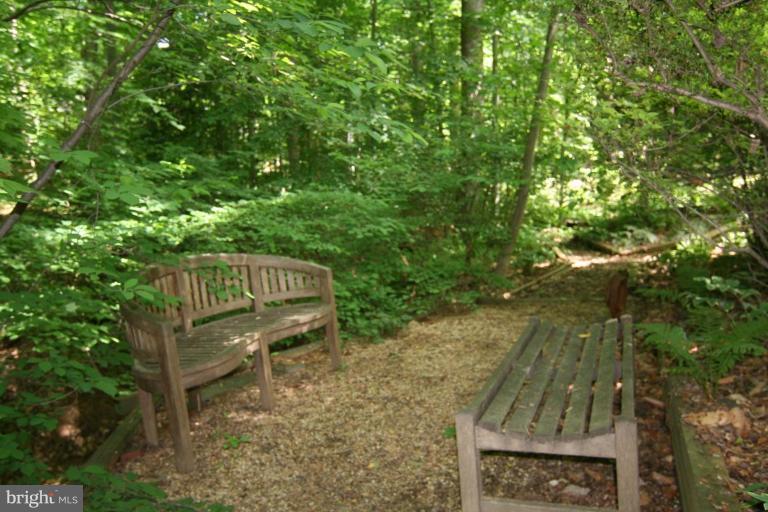 8916 Burdette Road Bethesda, MD 20817 - Photo 12 of 26 Garden #2