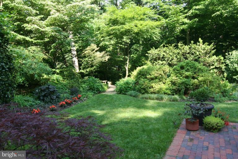 8916 Burdette Road Bethesda, MD 20817 - Photo 19 of 26 Back yard