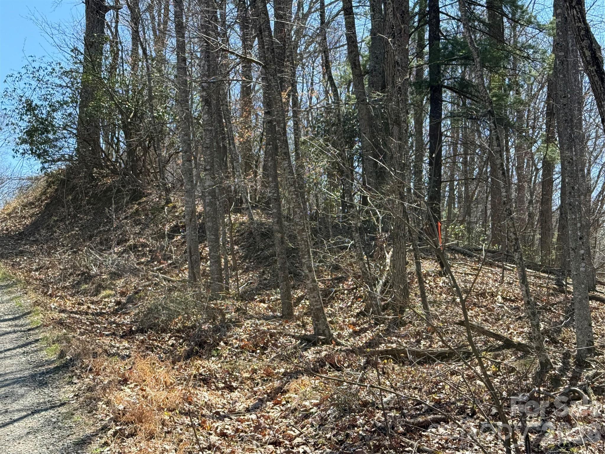0 Granny Shepherd Road, Unit LOT 2 Mars Hill, NC 28754 - Photo 7 of 22