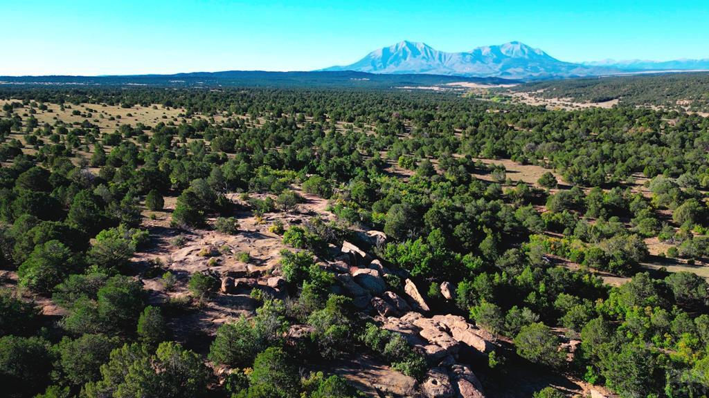 Tbd Bear Creek Road Walsenburg, CO 81089 - Photo 1 of 37