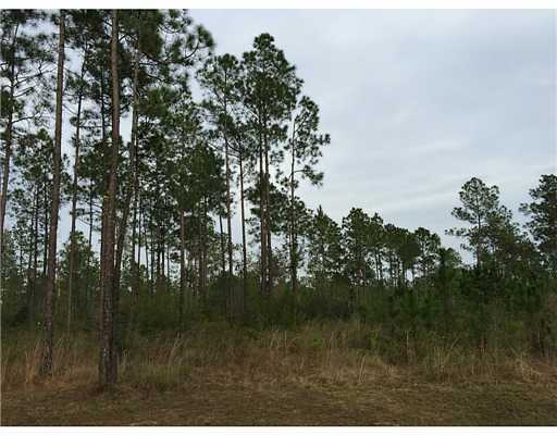388 Parcel 6) Road Pass Christian, MS 39571 - Photo 1 of 2 Primary Photo