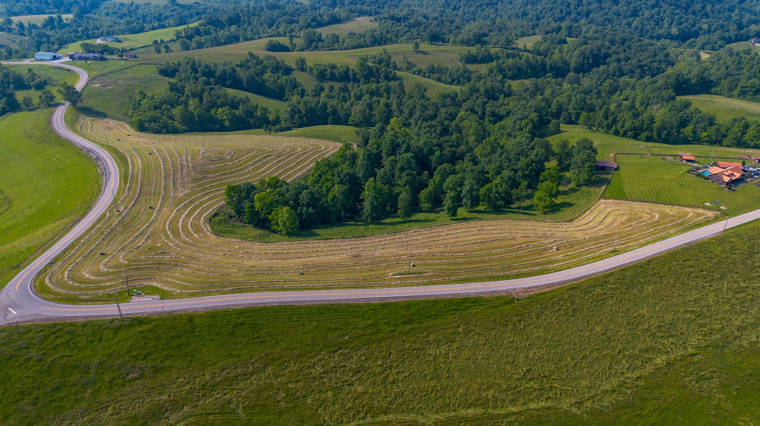 0 State Rt 790 Scottown, OH 45678 - Photo 9 of 29 Gallery Image 9