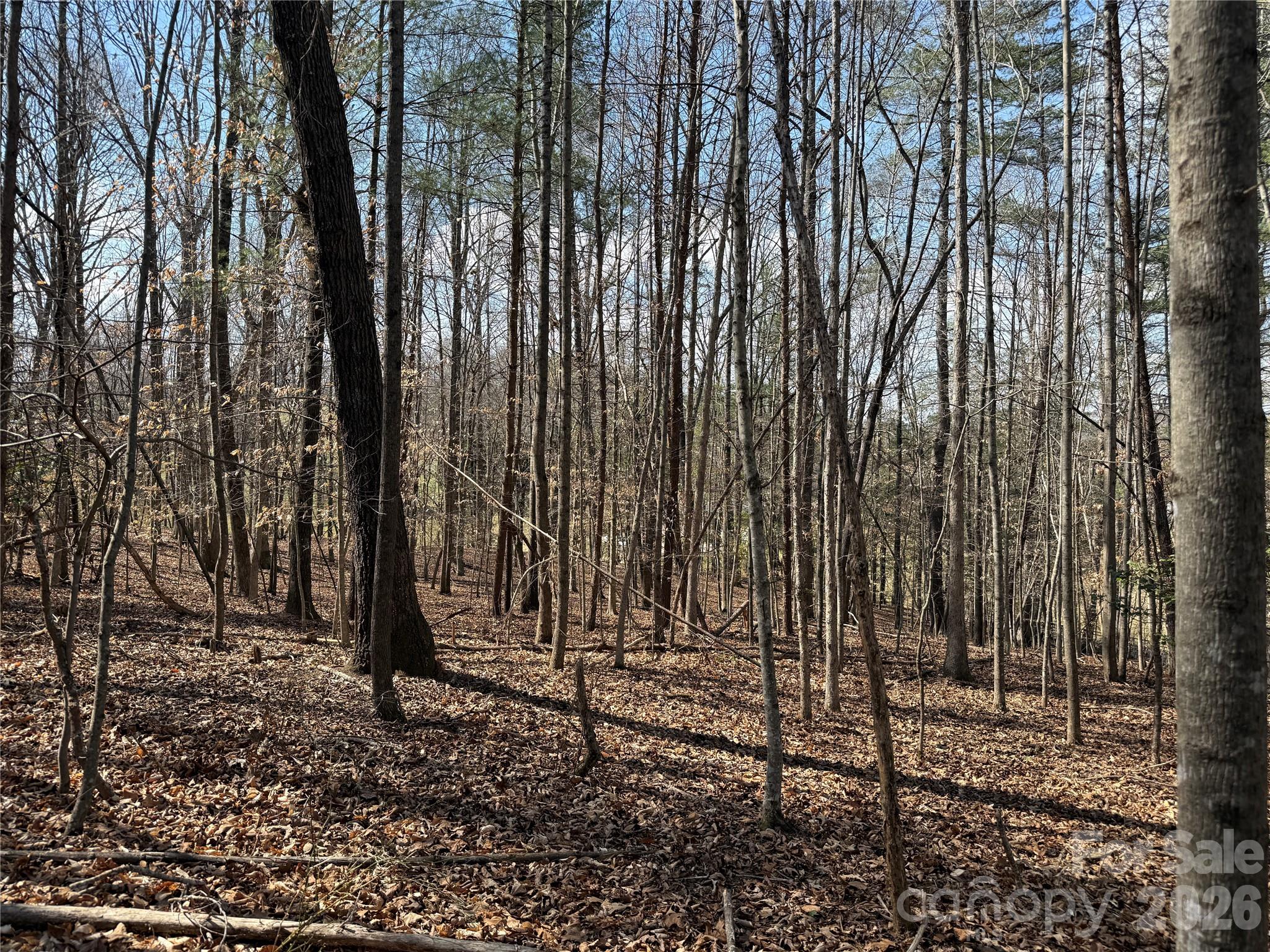 0 Conley Road Morganton, NC 28655 - Photo 3 of 7