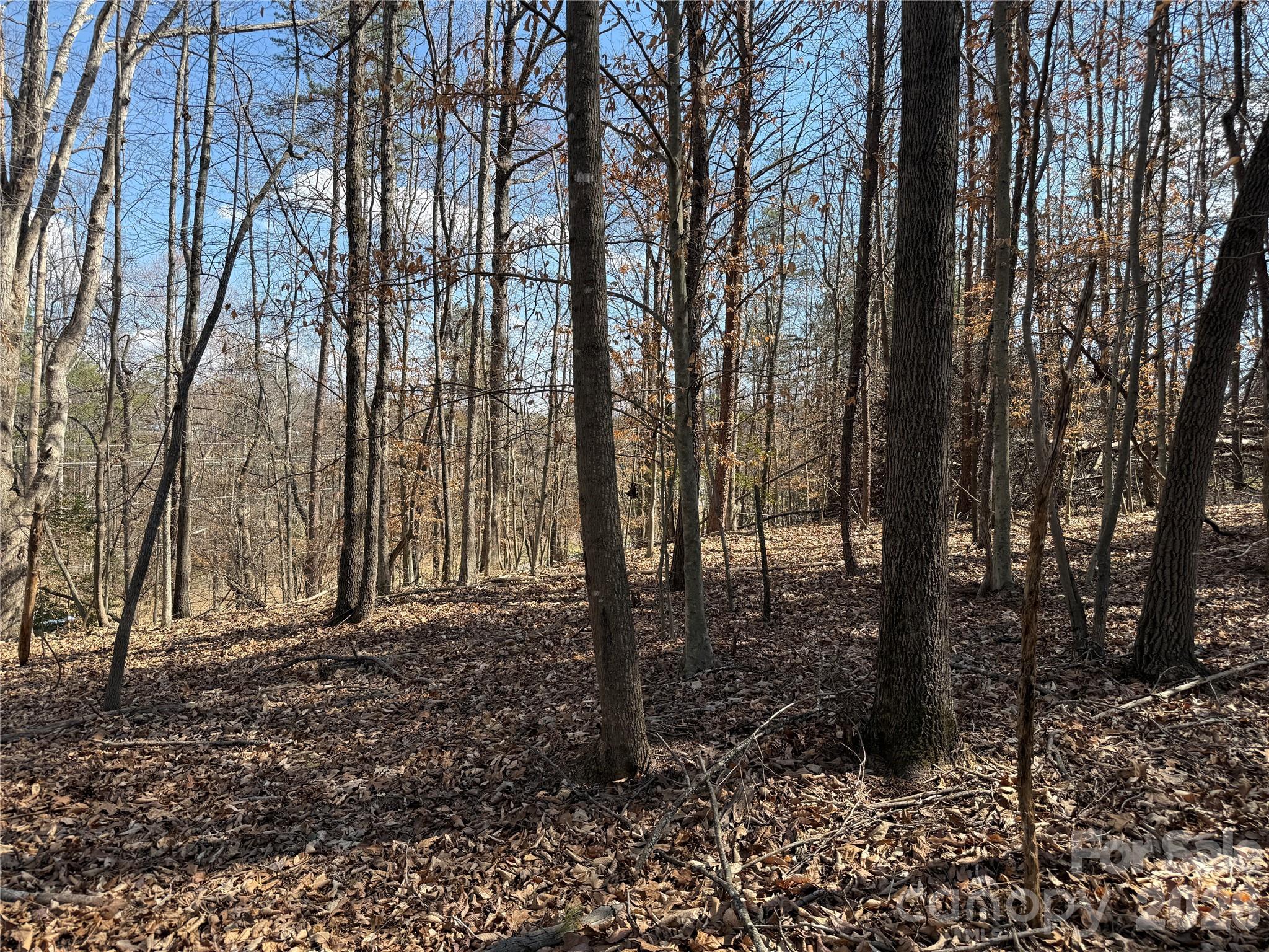 0 Conley Road Morganton, NC 28655 - Photo 5 of 7