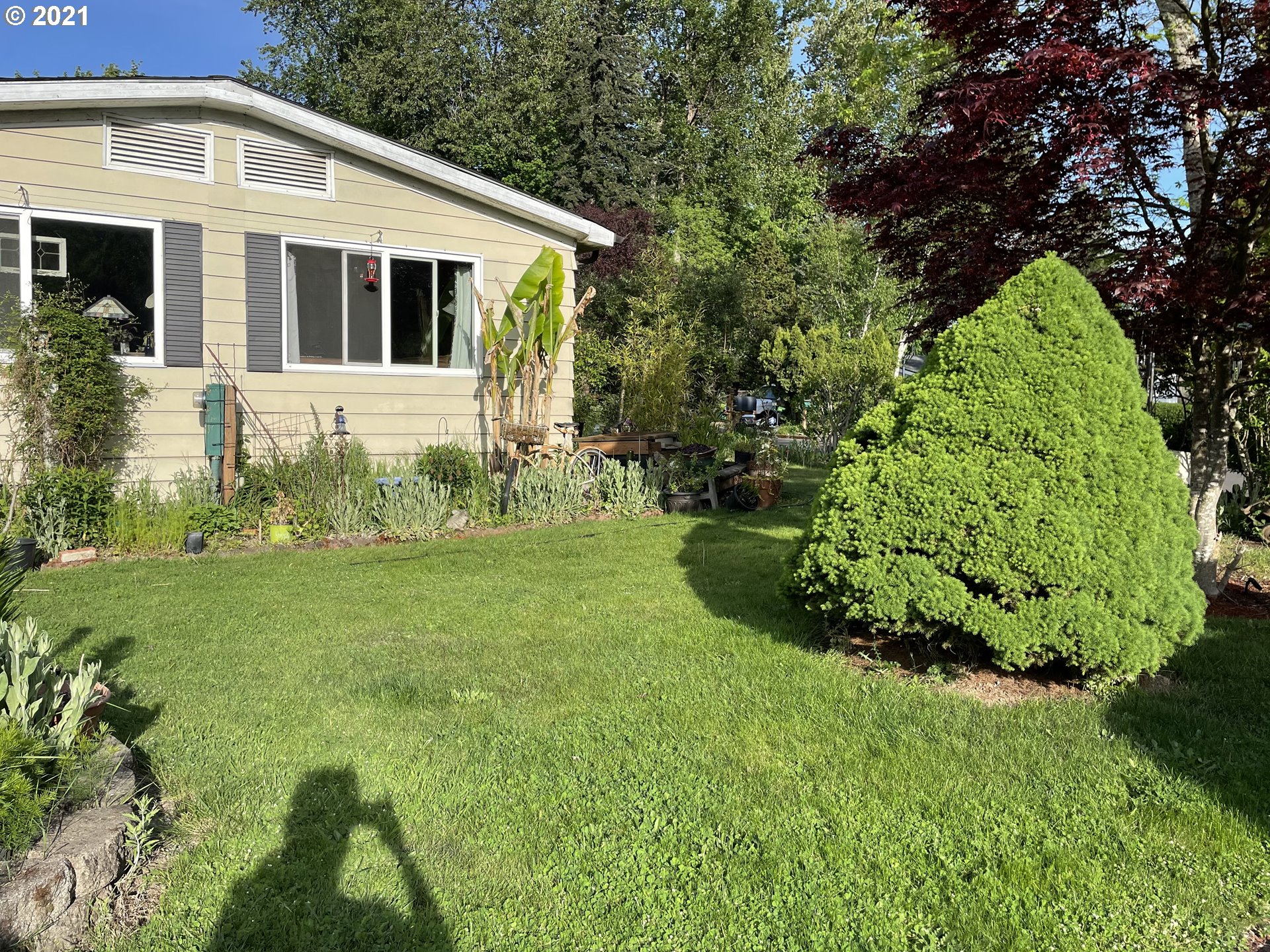 2083 Harbor Drive Springfield, OR 97477 - Photo 3 of 5