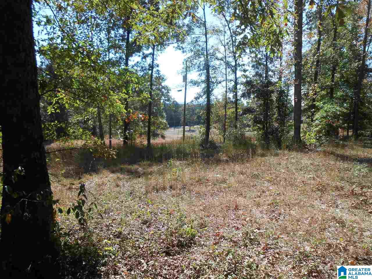 11 Highway Steele Al Steele, AL 35987 - Photo 5 of 8