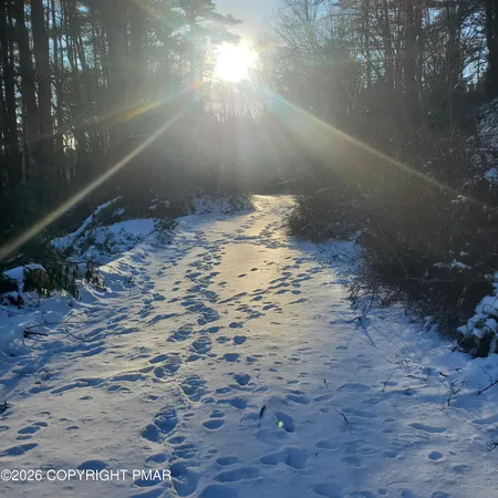 a view of backyard with roof deck
