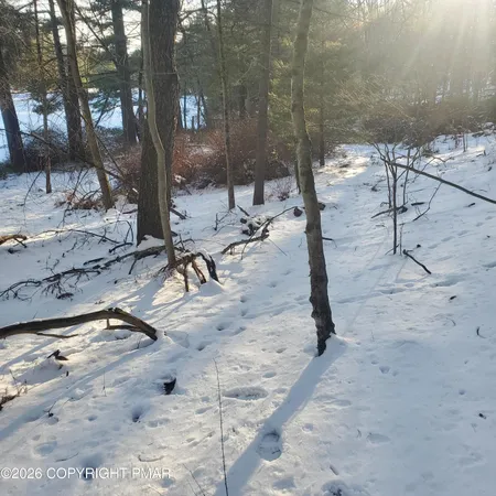 a view of a park that has a tree in it