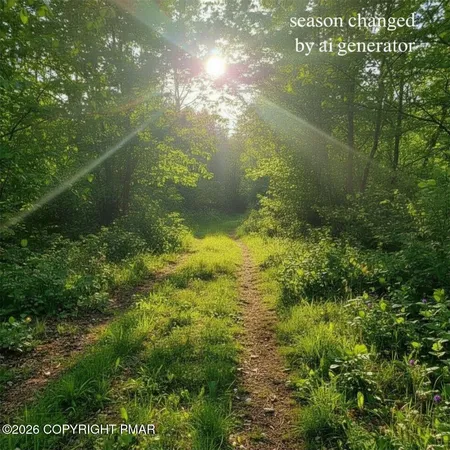 $80,000 | 112 Pine Tree Lane, Dingmans Ferry, PA 18328