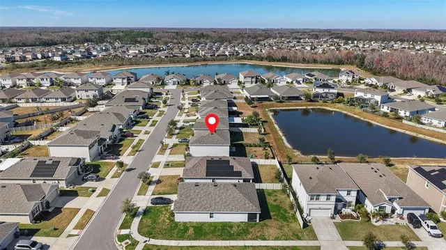 a view of a backyard with plants