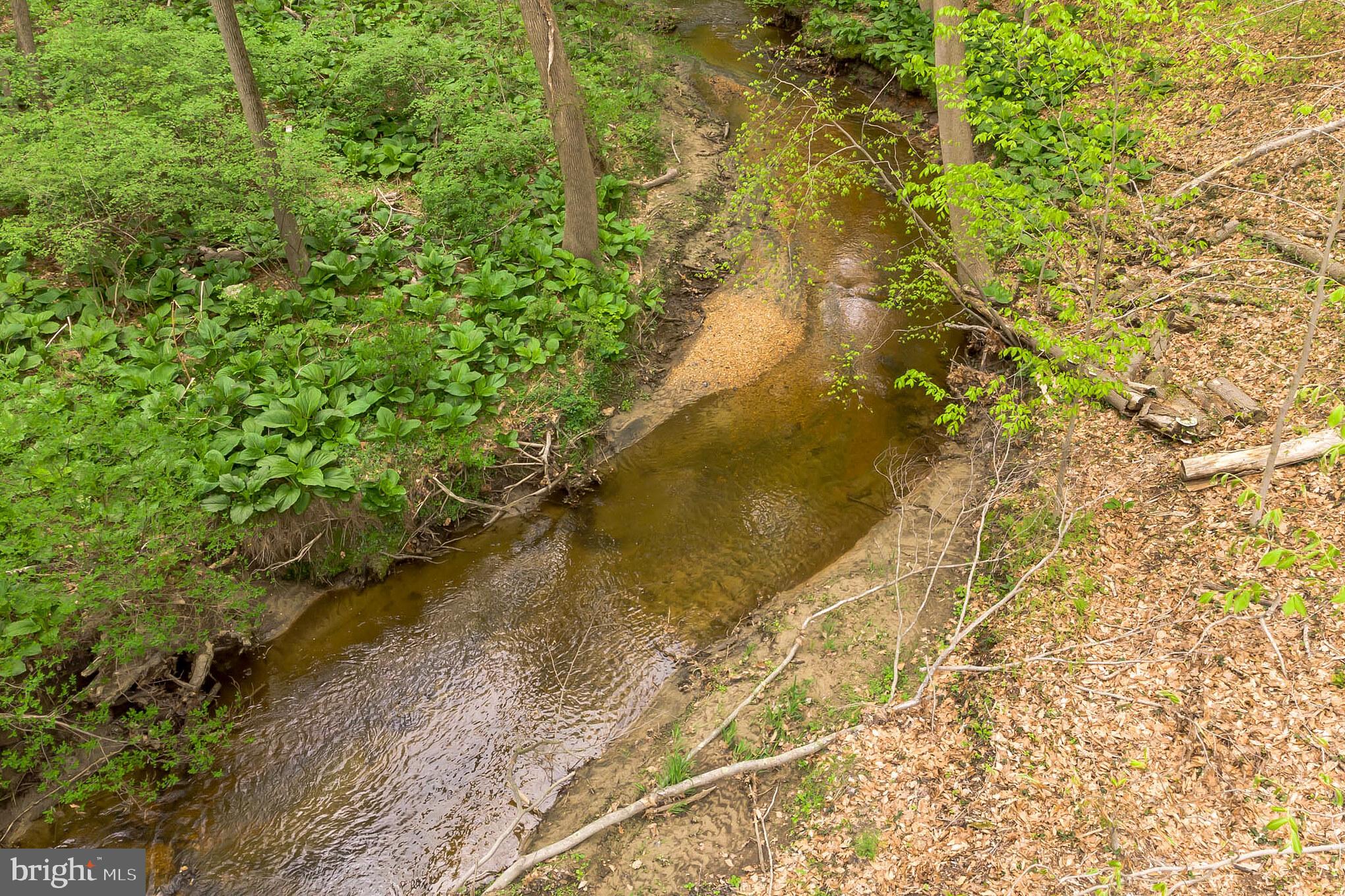 168 Duffield Road Mullica Hill, NJ 08062 - Photo 29 of 30 Gallery Image 29