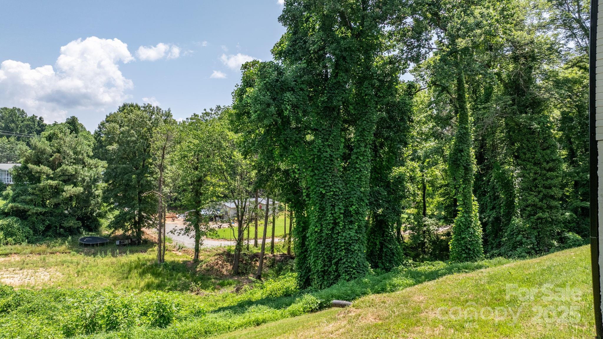 191 Harmony Grove Road Nebo, NC 28761 - Photo 37 of 47 a view of backyard with green space