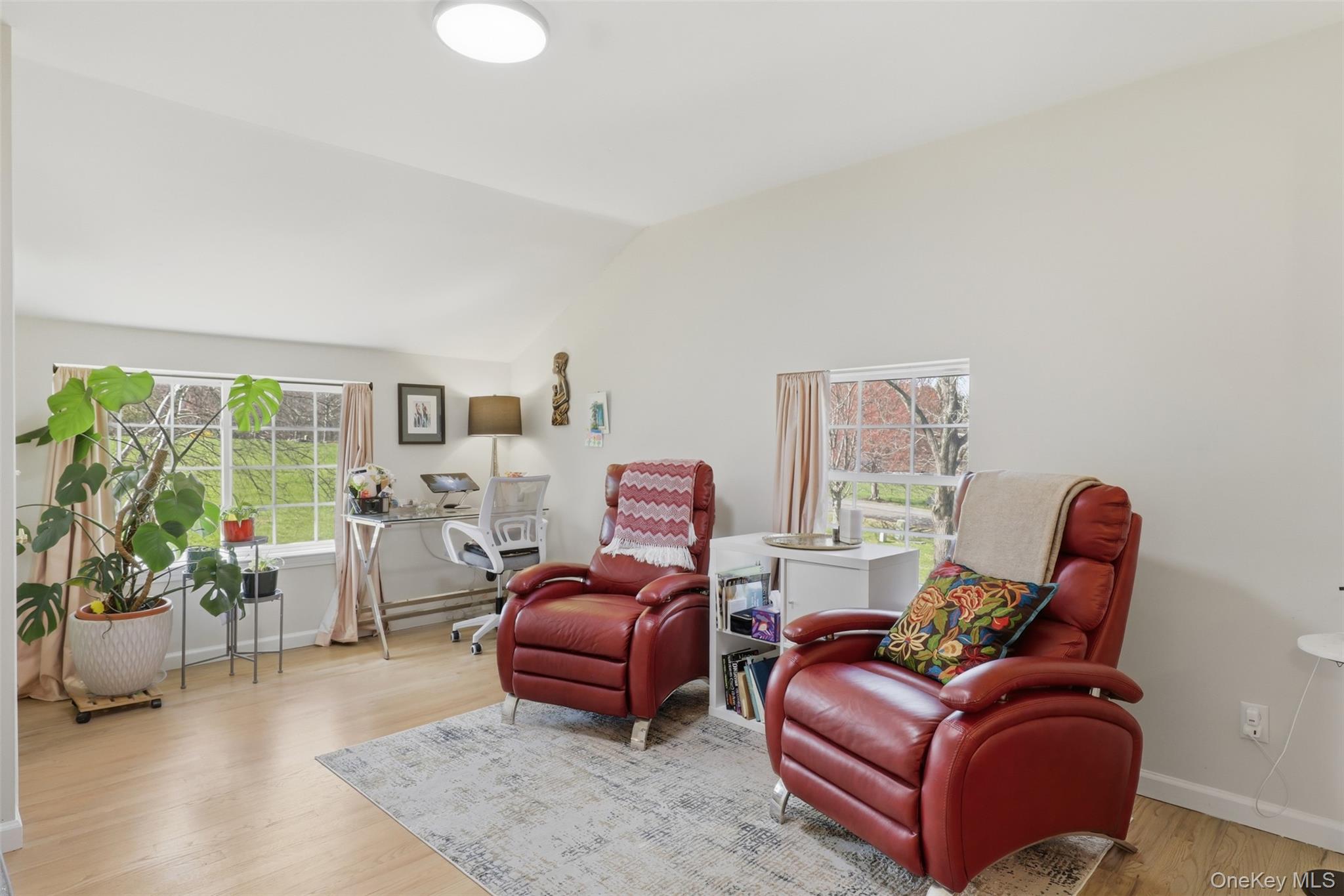 1 Lira Street Wallkill, NY 12589 - Photo 22 of 31 a living room with furniture or couch and a potted plant