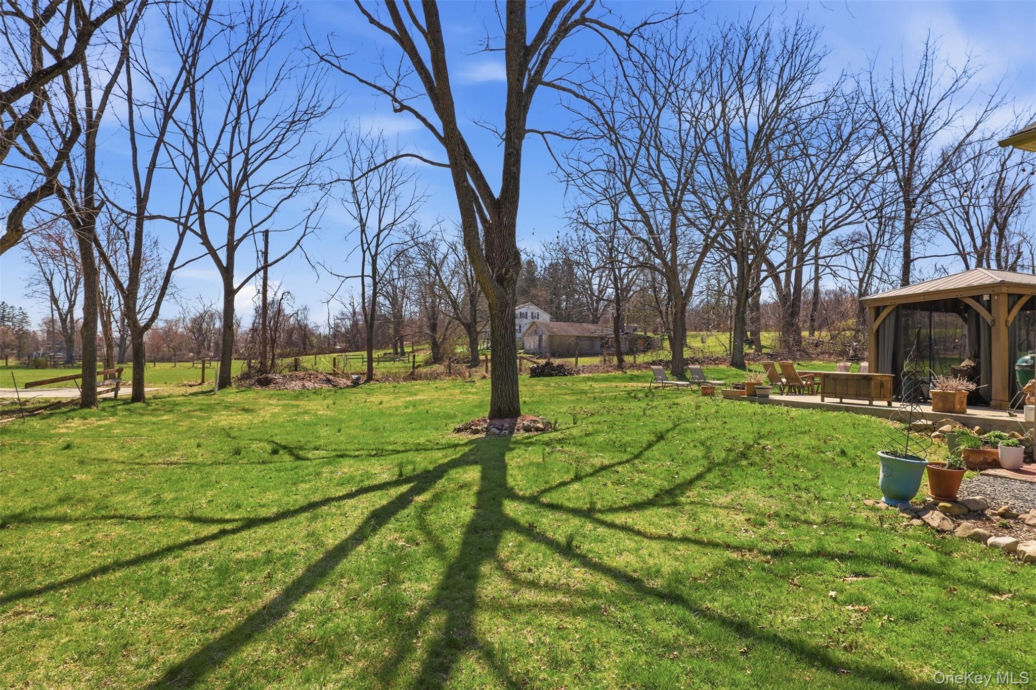 1 Lira Street Wallkill, NY 12589 - Photo 31 of 31 a view of a park with large trees