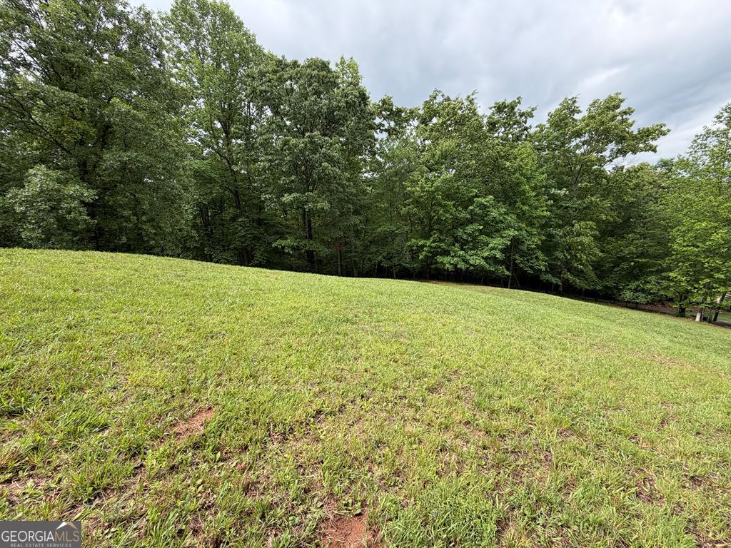 0 Drake Ridge Lane Hayesville, NC 28904 - Photo 4 of 6 a view of an outdoor space and a yard