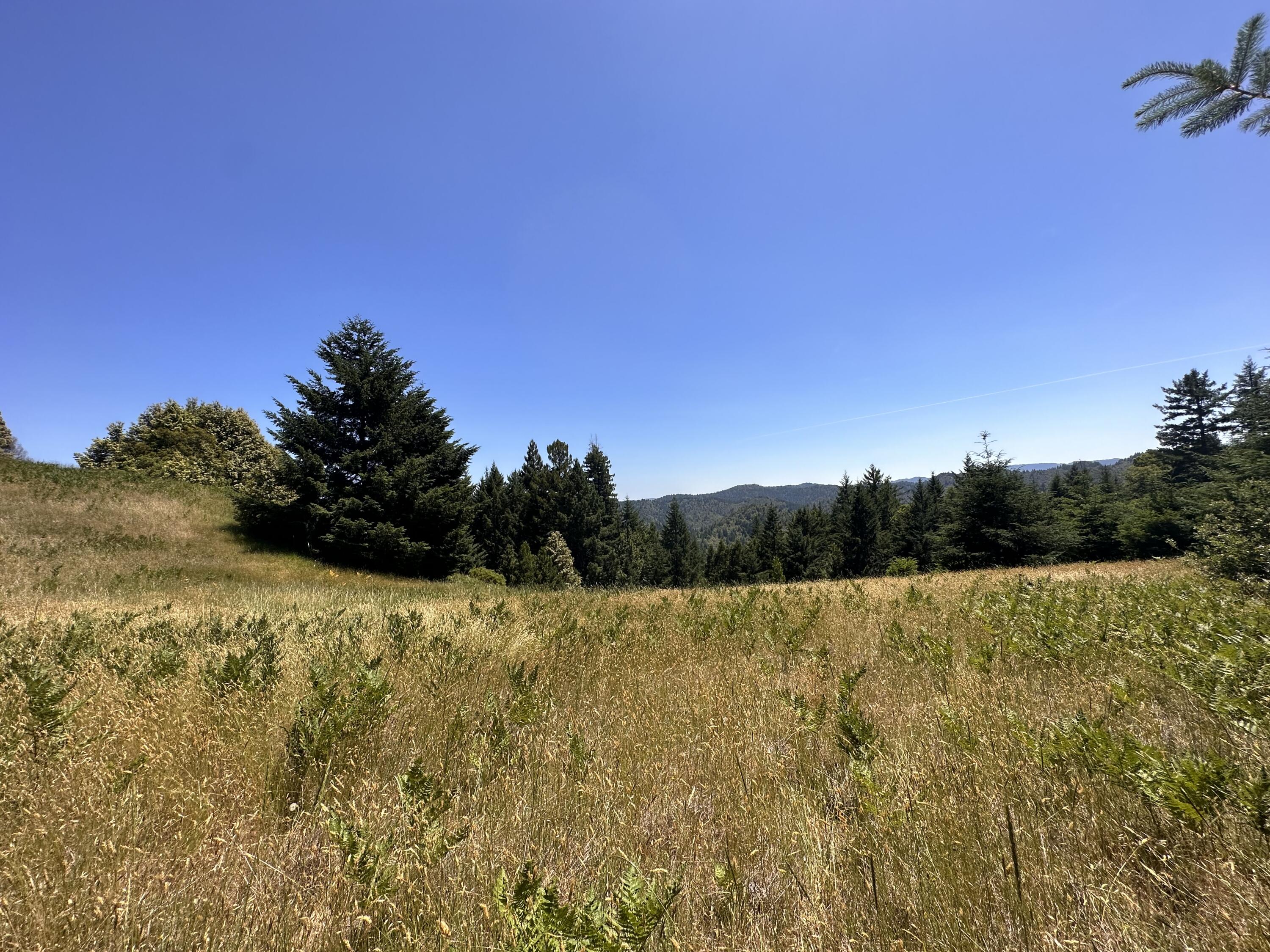 950 Powell Crk Road Garberville, CA 95542 - Photo 37 of 78