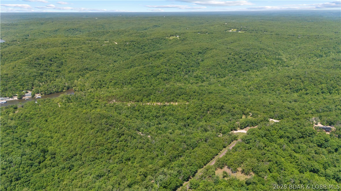 5-acres Pirates Pirates Cove Road Camdenton, MO 65020 - Photo 28 of 30