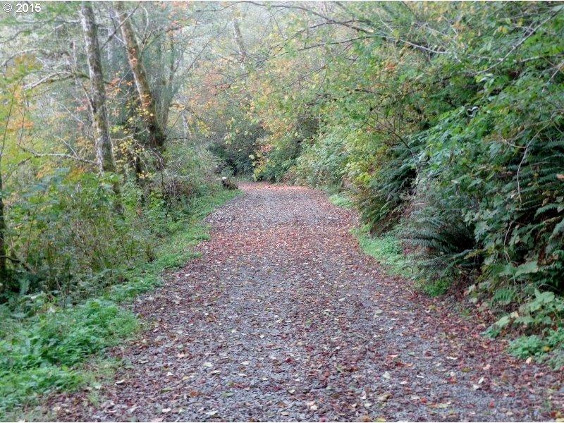 22505 Highway 101 South Beaver, OR 97112 - Photo 10 of 30 AccessRd