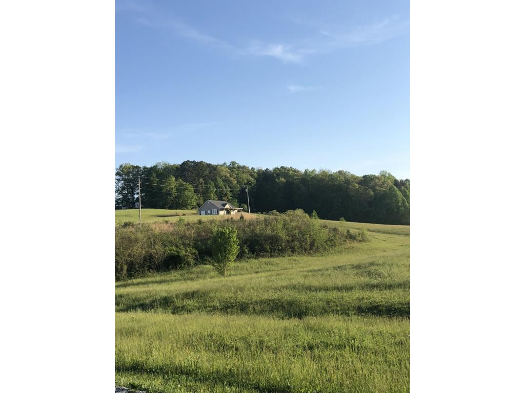 265 Mt Carmel Road Mosheim, TN 37818 - Photo 8 of 9 Photo 8