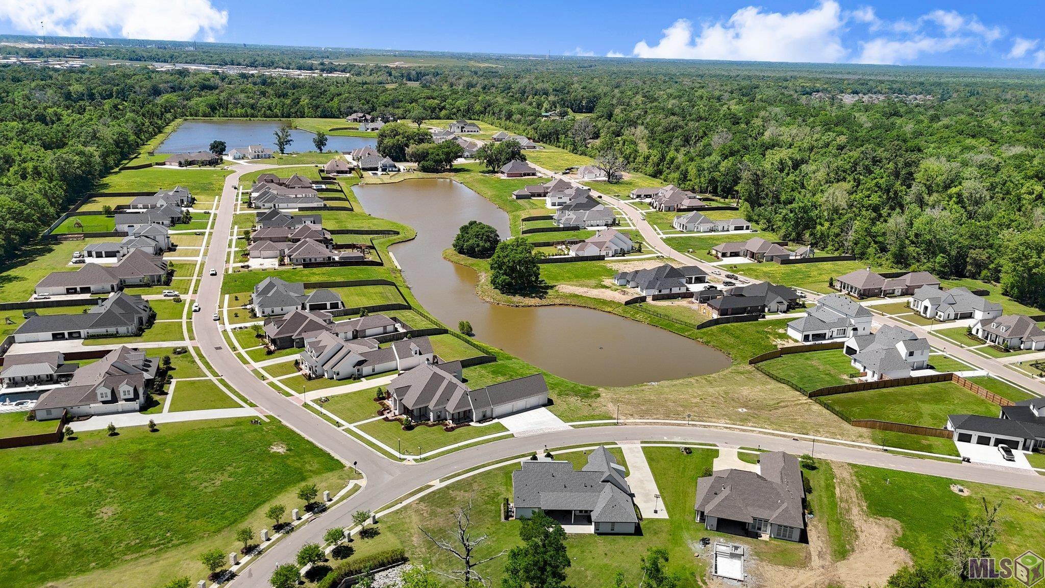 36354 Talonstone Drive Geismar, LA 70734 - Photo 50 of 54