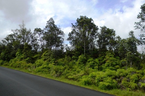 1481 Volcano Road Mountain View, HI 96771 - Photo 1 of 4