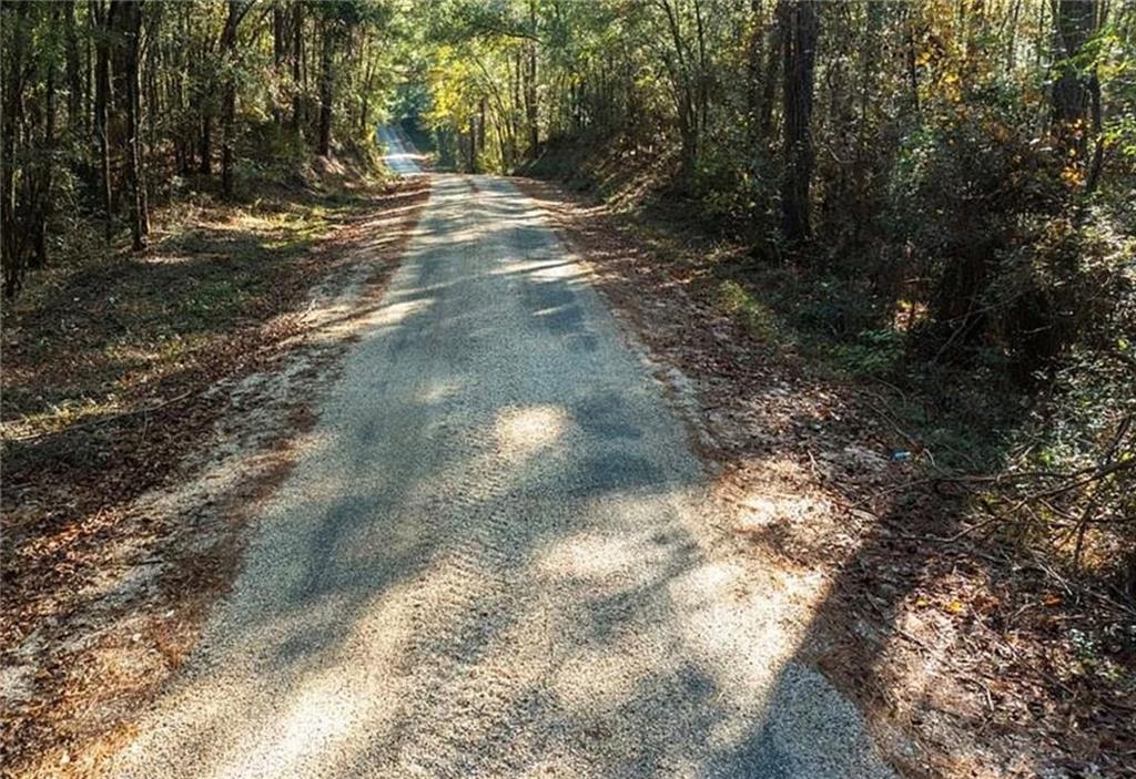 Tbd Earl Magee Road Franklinton, LA 70438 - Photo 5 of 5 Gallery Image 5