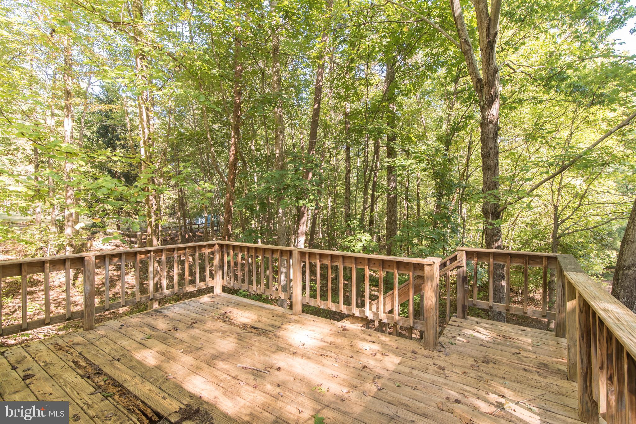 9208 Mountjoy Road Marshall, VA 20115 - Photo 24 of 31 Back Deck