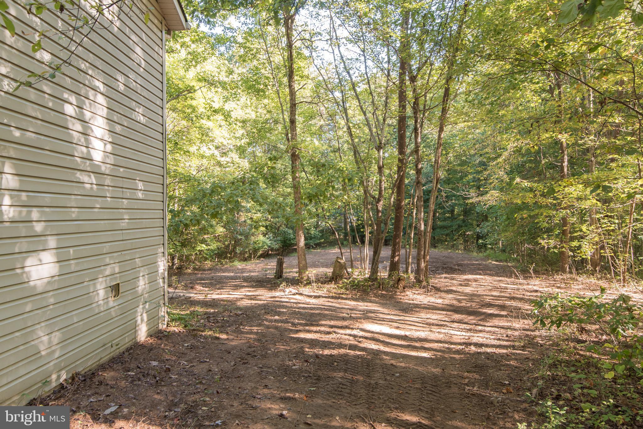 9208 Mountjoy Road Marshall, VA 20115 - Photo 29 of 31 Side Yard