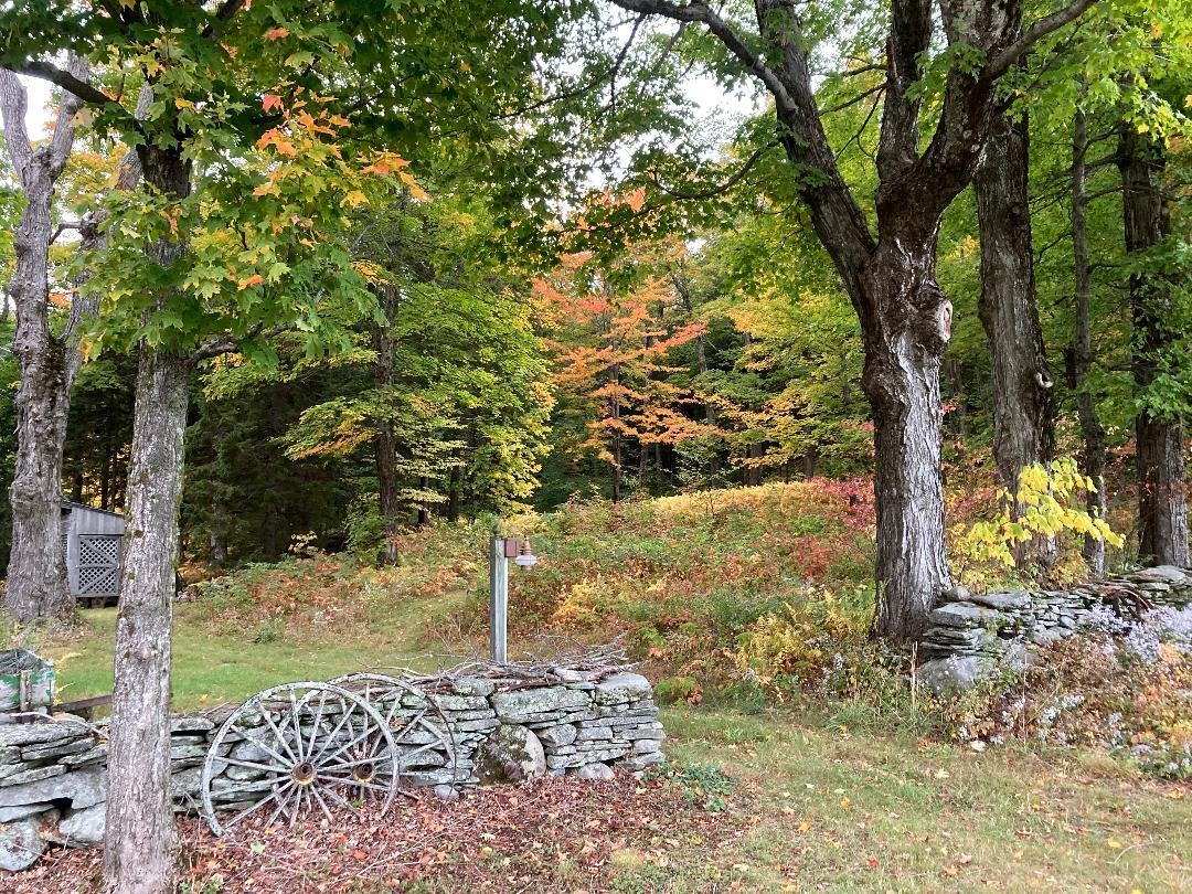 1664 Grant Road Marlboro, VT 05301 - Photo 20 of 39