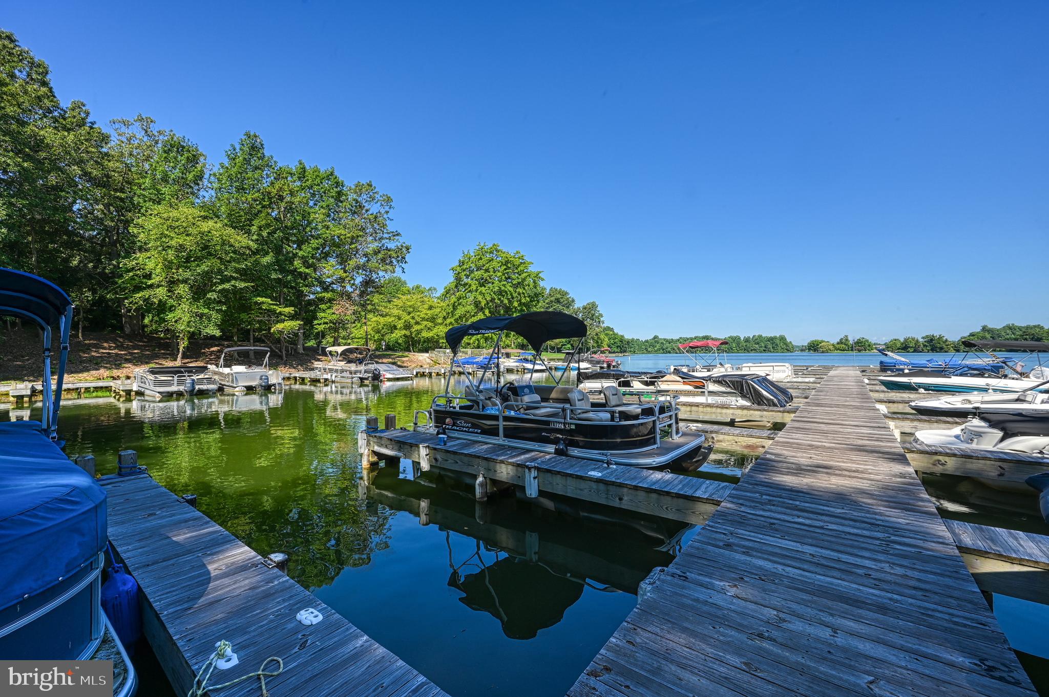 6202 Ruth Lane Mineral, VA 23117 - Photo 2 of 38
