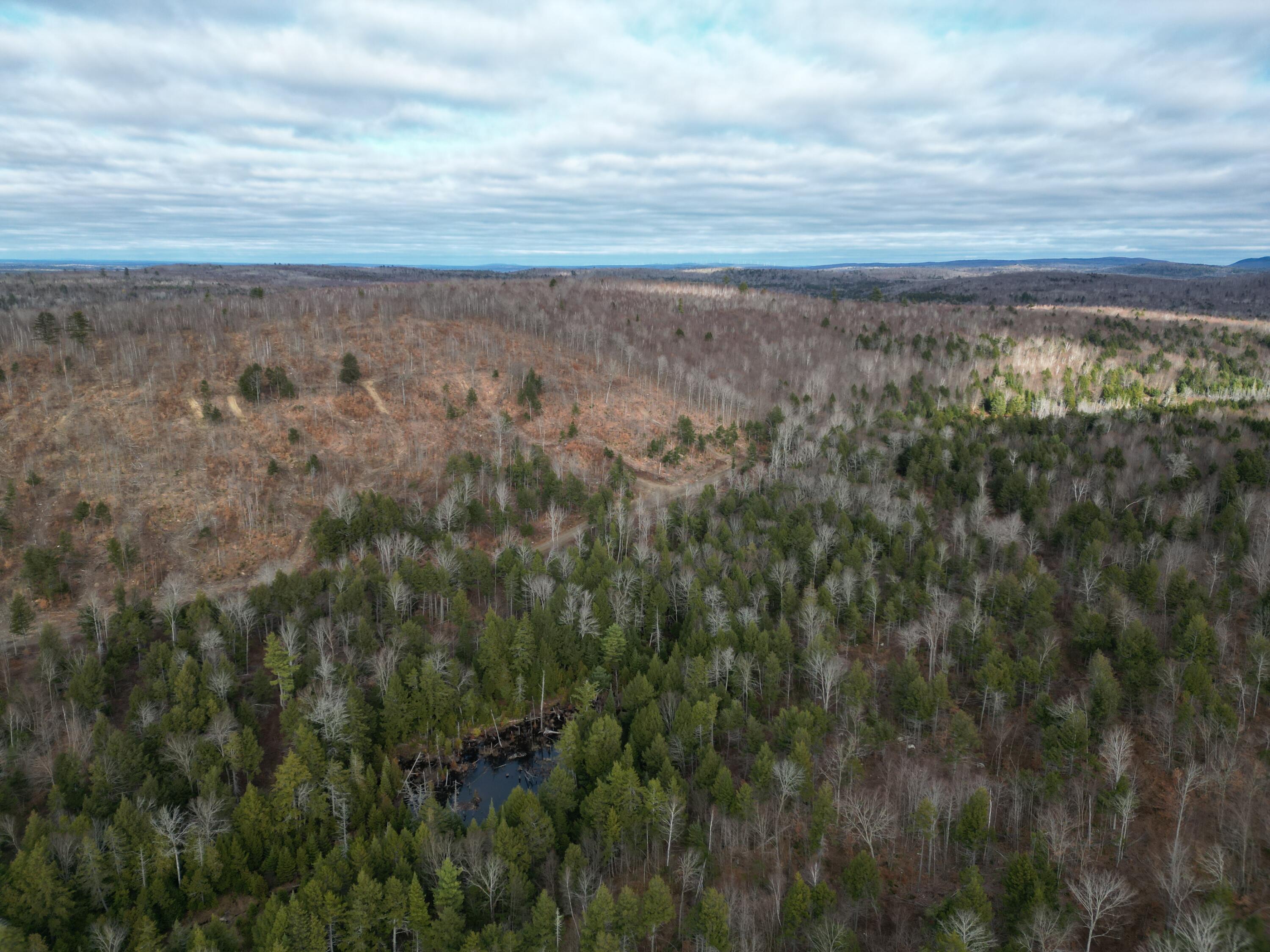 Lot 14 Ghost Road Springfield, ME 04487 - Photo 15 of 17 DJI_0969