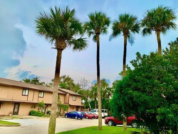 a view of a yard with palm trees