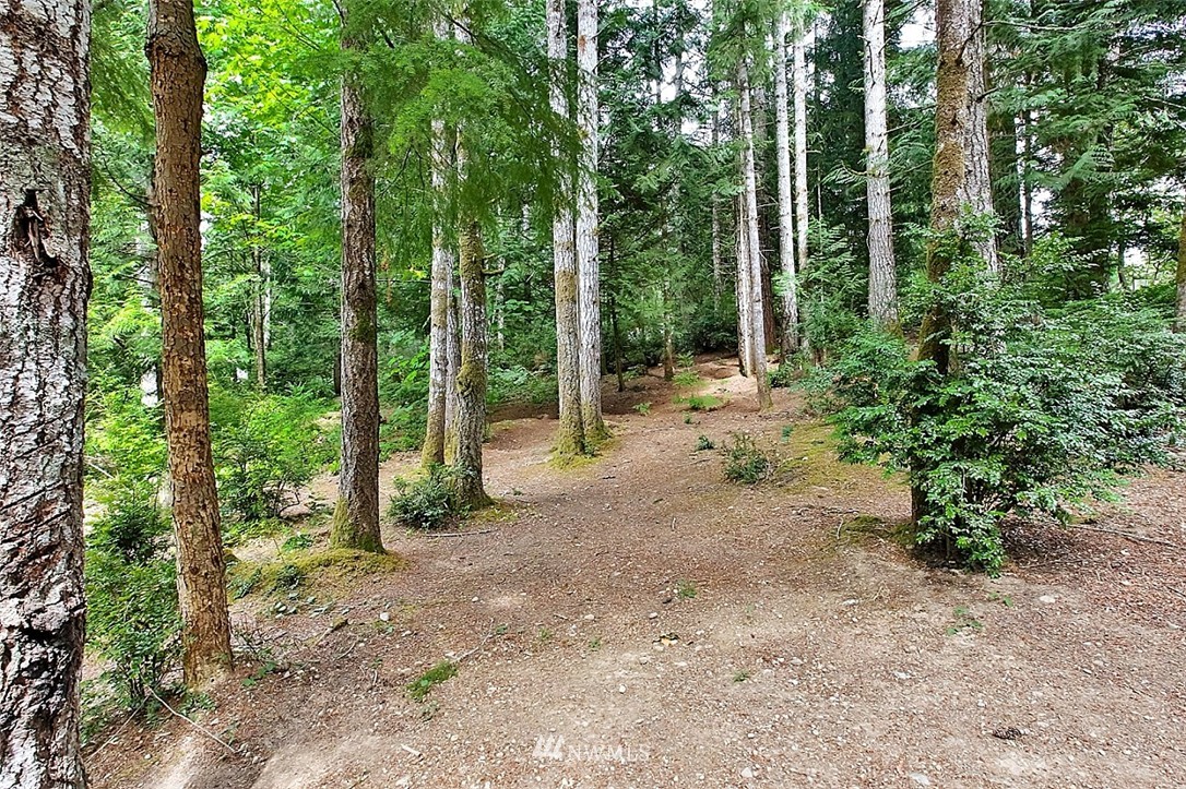 520 Rivendell Road Grapeview, WA 98546 - Photo 8 of 25 Gallery Image 8