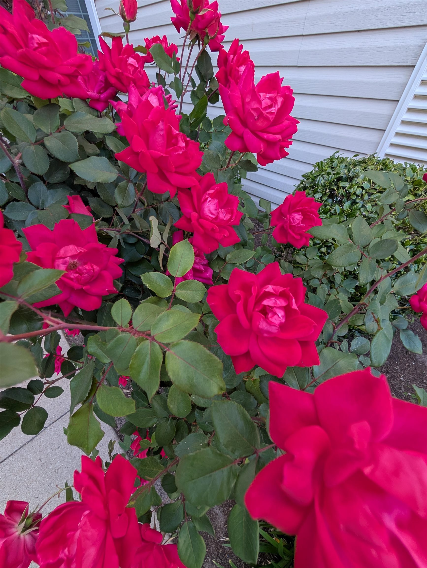 1100 Commons Boulevard, Unit 307 Myrtle Beach, SC 29572 - Photo 40 of 40