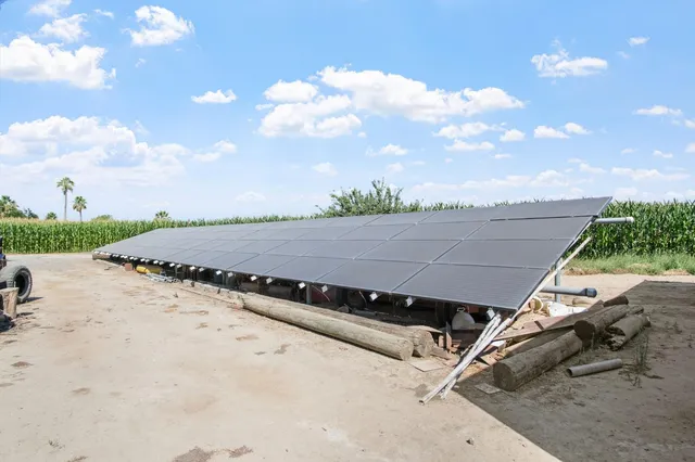 a view of a backyard with a garden and plants