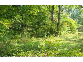 8586 West Thacker Road Bloomington, IN 47403 - Photo 8 of 9
