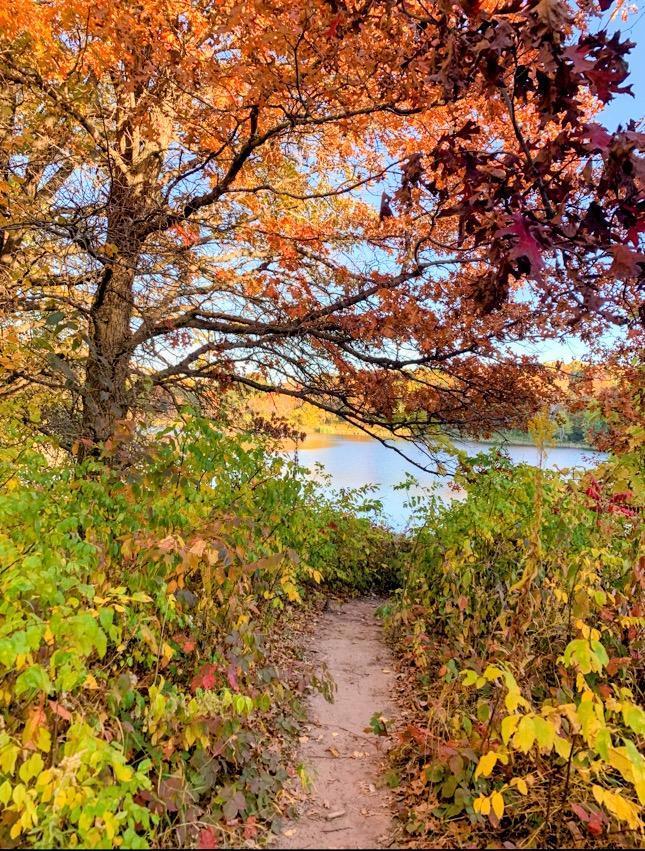 695 Rosa Court Eagan, MN 55123 - Photo 65 of 66