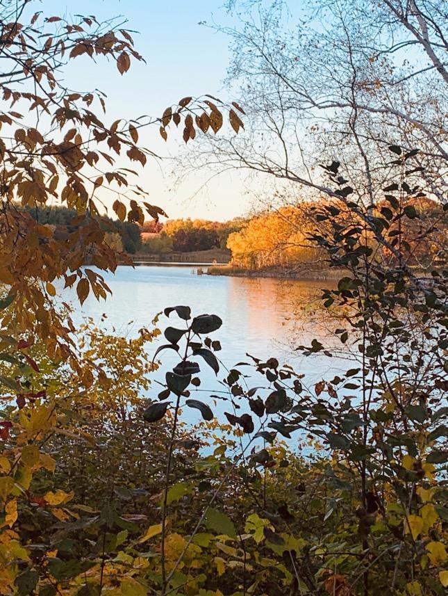 695 Rosa Court Eagan, MN 55123 - Photo 66 of 66