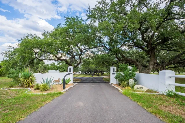 a view of a street with large trees